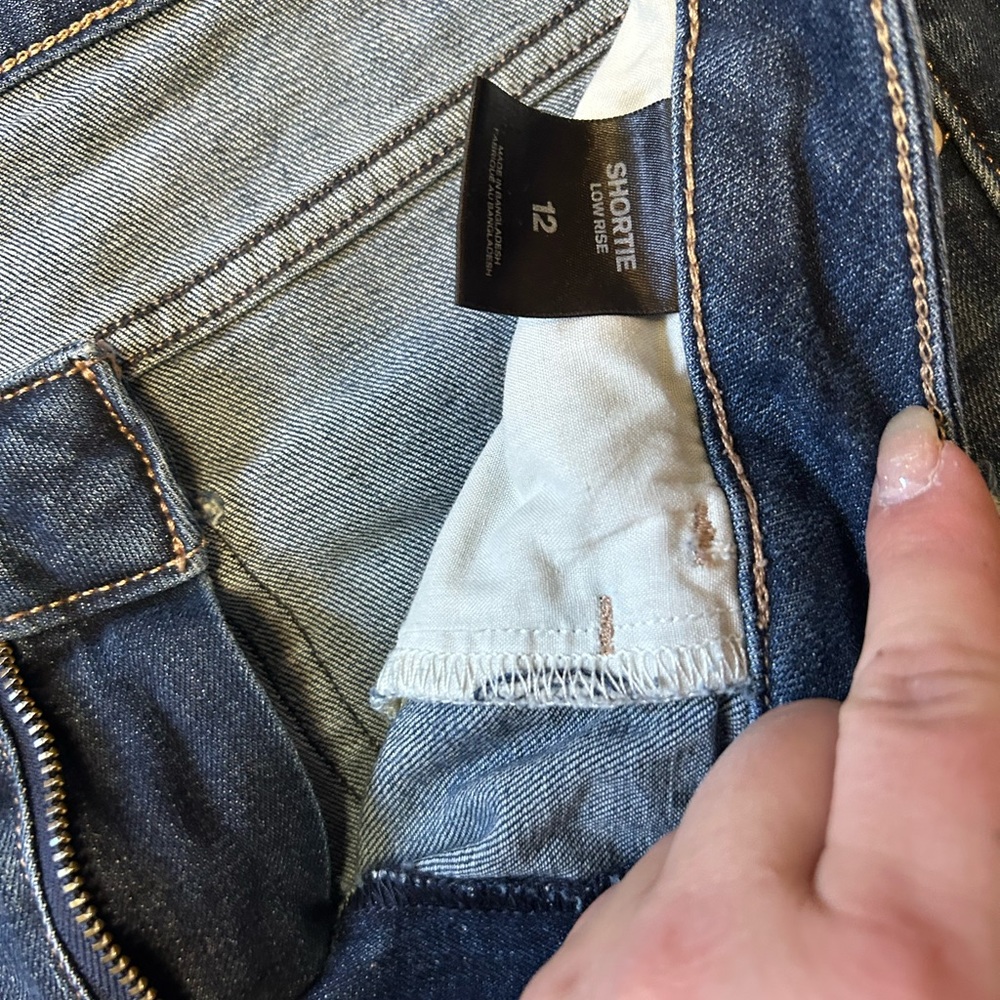 Express shorts size 12
